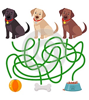Cute dog educational maze game.