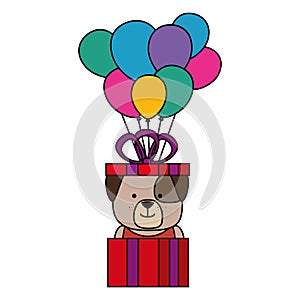 cute dog in gift with ballooons helium character