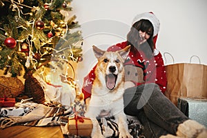 cute dog with gift sitting with happy girl in santa hat on background of golden beautiful christmas tree with lights and presents