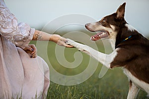 Cute dog giving paw to woman outdoors, closeup. Friendship between pet and owner