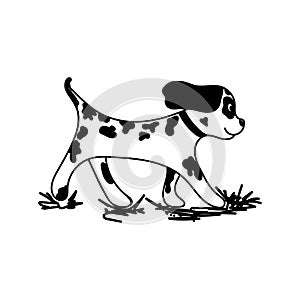 Cute dog, hand-drawn in doodle style. Dalmatian in cartoon style. Dog in spots. Walking through the grass. Vector is