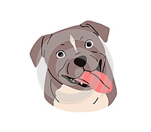 Cute dog head of Staffordshire bull terrier breed. Staffy puppy portrait, canine avatar. Stafford doggy face, muzzle