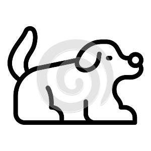 Cute dog home play icon outline vector. Course training