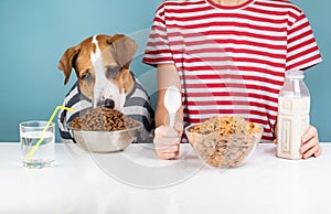 Cute dog and human having breakfast together. Minimalistic illus