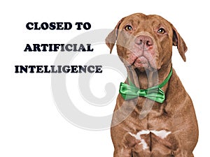 Cute dog and inscription about artificial intelligence