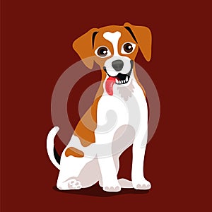 Cute dog Jack Russell Terrier