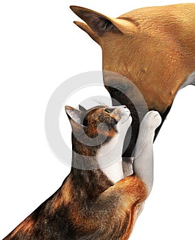 Cute Dog Love Cat Illustration Isolated