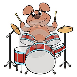 Cute dog playing drums
