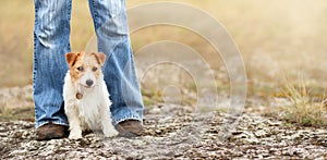 Cute dog puppy sitting with her owner, travelling with pet banner