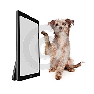Cute Dog Scrolling Blank Tablet Computer