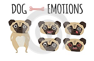 Cute dog. Set of emotions