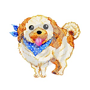 Cute dog shih tzu watercolor painting hand drawn