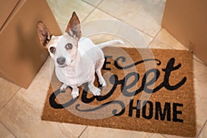 Cute Dog Sitting on Home Sweet Home Welcome Mat on Floor Near Boxes photo