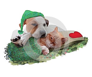 Cute dog sleeping on a red cat sleeping on a pillow with a heart drawn on it