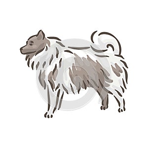 Cute dog Spitze breed pedigree vector illustration photo