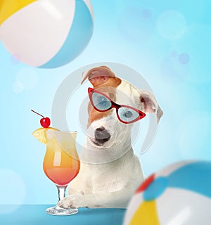 Cute dog in sunglasses with cocktail on light blue background. Summer party