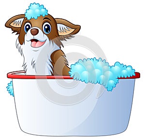 Cute dog taking a bath on a white background