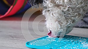 cute dog using lick mat for eating food slowly