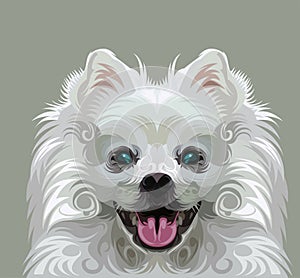 Cute dog vector
