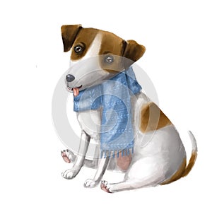 Cute dog in warm scarf with stupid face, funny clipart with jack russel, children`s illustration with cartoon character
