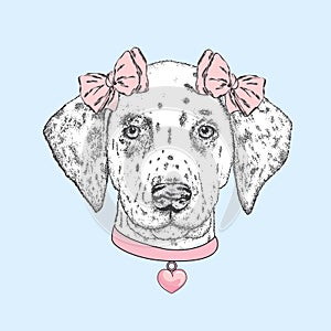 Cute dog wearing a collar with a heart and two bows. Beautiful dalmatian painted by hand. Vector illustration for a card or poster