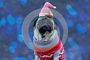 Cute dog wearing Santa hat while looking at camera