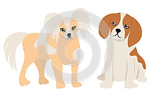 cute doggies flat design, isolated