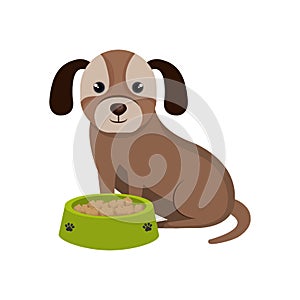 Cute doggy pet icon