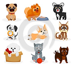 Cute doggy set. Isolated playful dog puppies