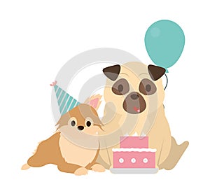 cute dogs birthday design