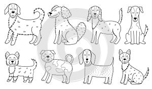 Cute dogs collection in black and white. Funny puppy characters outline set