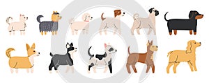 Cute dogs of different breeds set. Diverse small and medium doggies. Canine animals. Side view. Flat Vector illustration