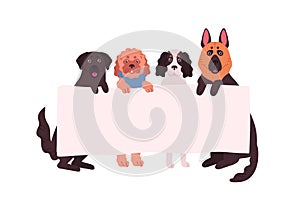 Cute dogs of different breeds standing hold empty banner with place for text vector flat illustration. Group of funny