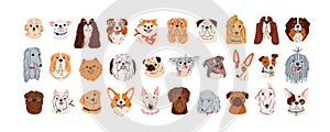 Cute dogs faces set. Canine head portraits of different doggy breeds. Funny puppies muzzles. Happy pups avatars of