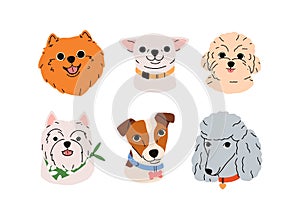 Cute dogs faces set. Funny puppies head portraits, avatars. Adorable doggies snouts of different canine breeds, Jack