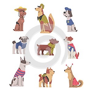 Cute Dogs in Festive Costumes Set, Funny Pets Animals Characters Dressed in Costume for Masquerade, Carnival, Party