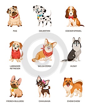 Cute dogs. Furry human friends home animals different breed pug, labrador and husky. Funny pets, happy puppies cartoon