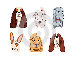 Cute dogs muzzles, head portraits set. Puppy snouts avatars. Doggies faces of different canine breeds. Adorable Afghan