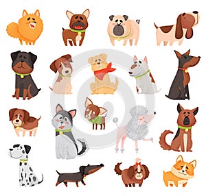 Cute Dogs and Puppy Pets of Different Breed Big Vector Set