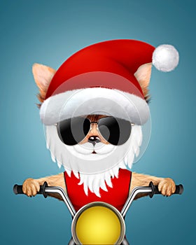 Cute Dogs Santa on a chopper. Christmas concept