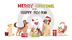 Cute Dogs In Santa Hats Isolated On White With Gift Boxes Merry Christmas And Happy New Year Poster Design