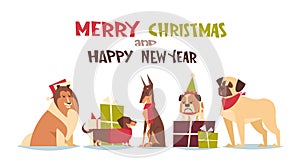 Cute Dogs In Santa Hats Isolated On White With Gift Boxes Merry Christmas And Happy New Year Poster Design