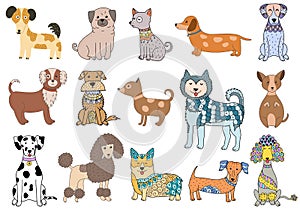 Cute dogs set. Collection with dalmatian, bulldog, husky, poodle, dachshund