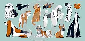 Cute dogs set. Funny doggies, puppies of different breeds. Canine animals pets. French bulldog, Akita, dachshund