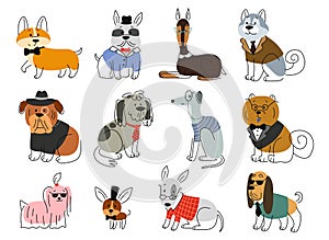 Cute dogs in suit vector set
