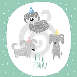 Cute dogs winter holidays greeting card