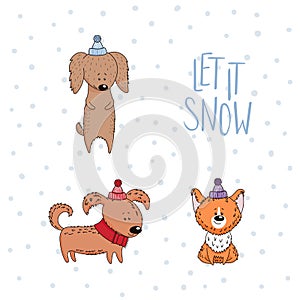 Cute dogs winter holidays greeting card