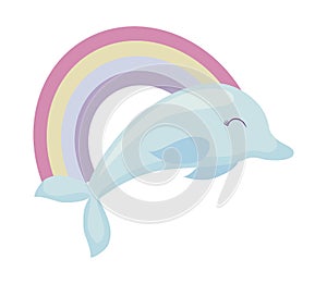 Cute dolphin with rainbow