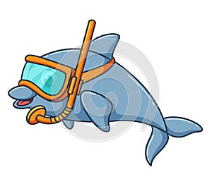 The cute dolphin is swimming with the goggles