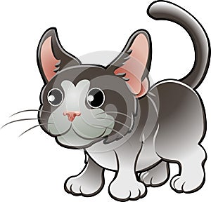 Cute Domestic Cat Vector Illus